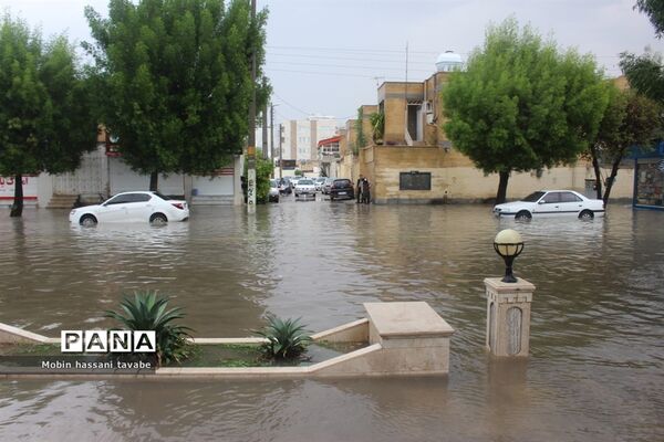 بارش شدید باران در بوشهر