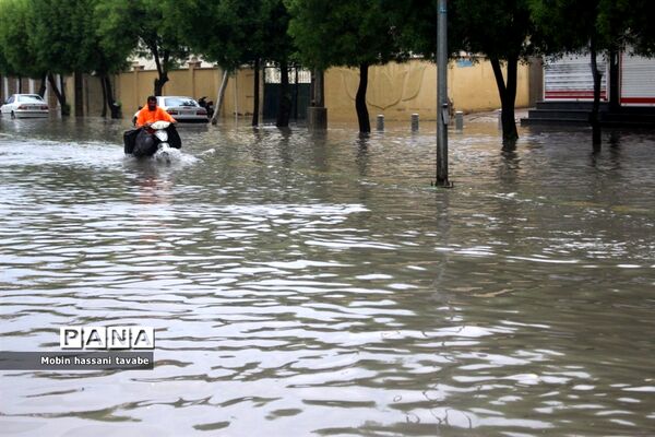 بارش شدید باران در بوشهر