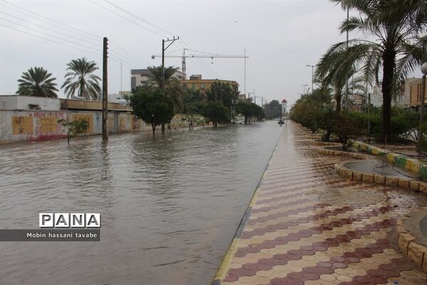 بارش شدید باران در بوشهر