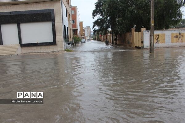 بارش شدید باران در بوشهر