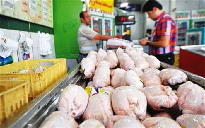 توزیع 700 تن مرغ منجمد در سیستان و بلوچستان