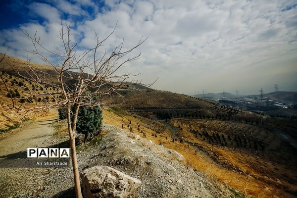 آلودگی هوای تهران