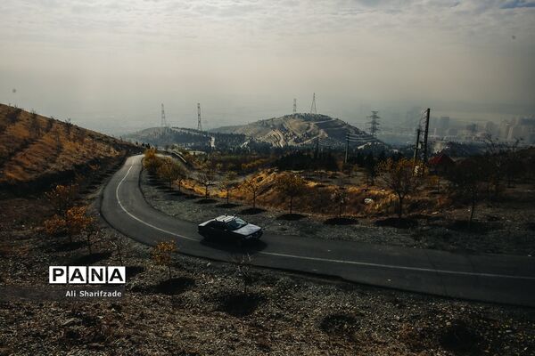 آلودگی هوای تهران