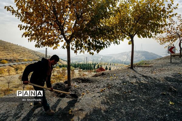 آلودگی هوای تهران