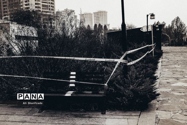 تهران آخرین روزهای پاییز