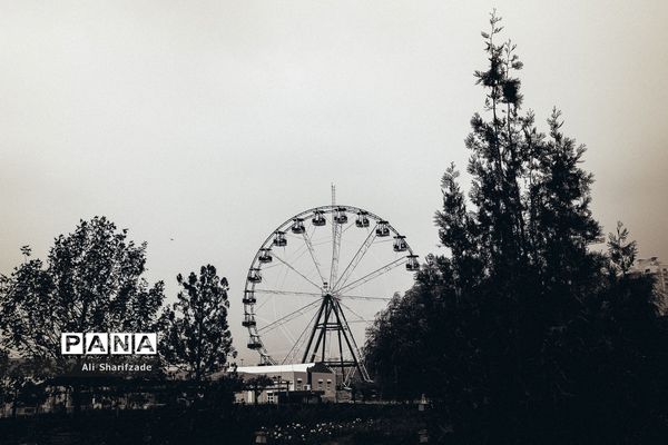 تهران آخرین روزهای پاییز