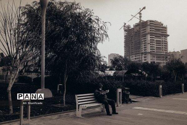 تهران آخرین روزهای پاییز