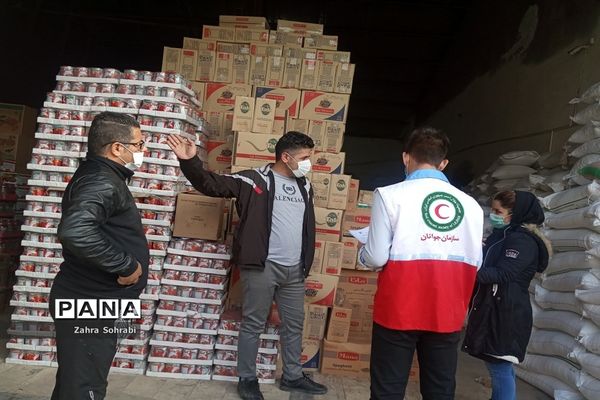 اجرای طرح ناظران سلامت جمعیت هلال احمر شهرستان اسلامشهر