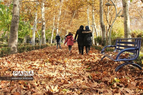 پاییز رنگارنگ درسکوت شهر