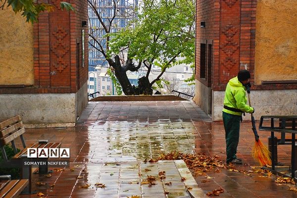 پاییز رنگارنگ درسکوت شهر