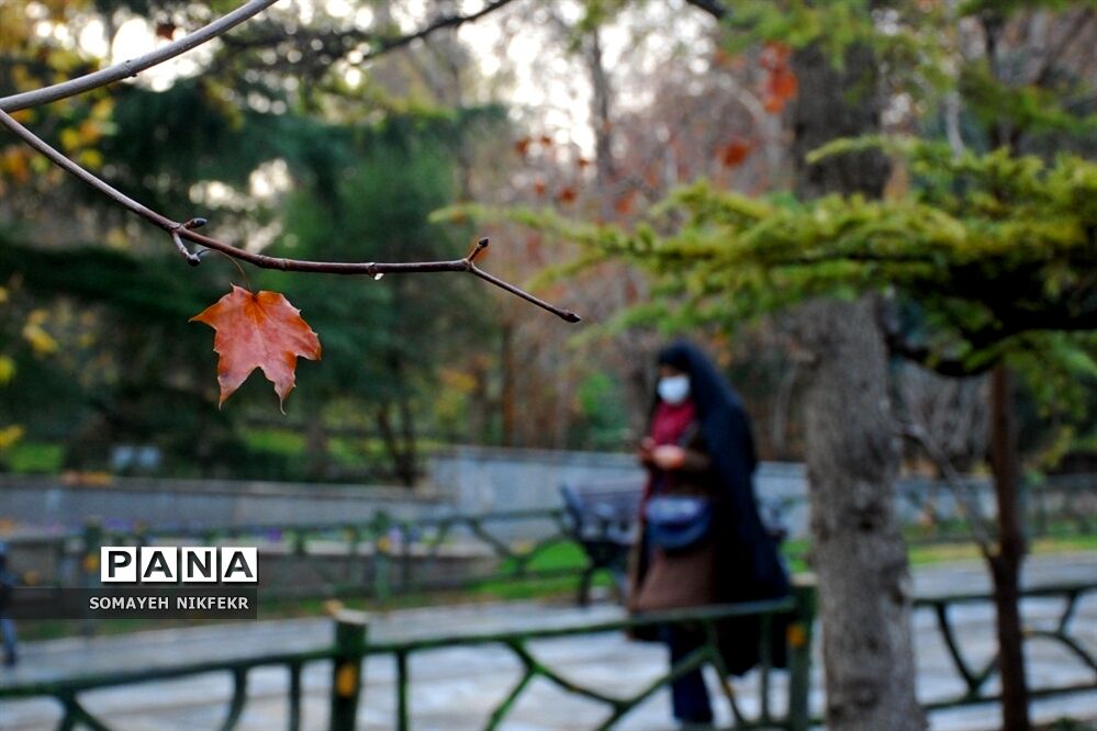 پاییز رنگارنگ درسکوت شهر