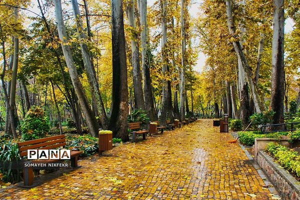 پاییز رنگارنگ درسکوت شهر