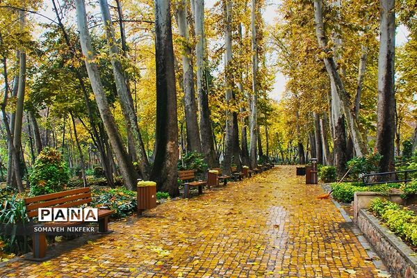 پاییز رنگارنگ درسکوت شهر