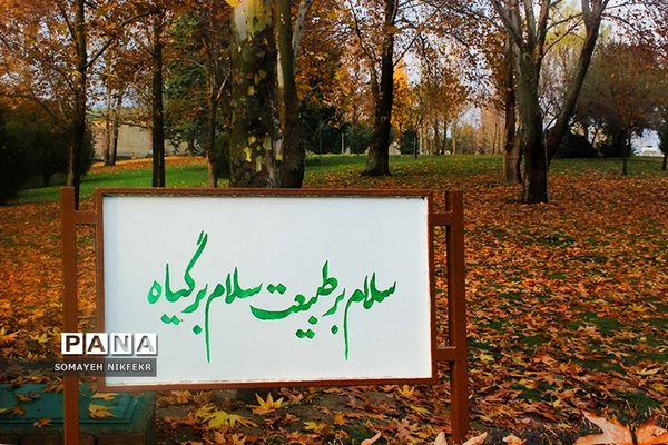 پاییز رنگارنگ درسکوت شهر