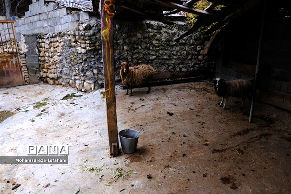یک روز پاییزی در روستای مَجی