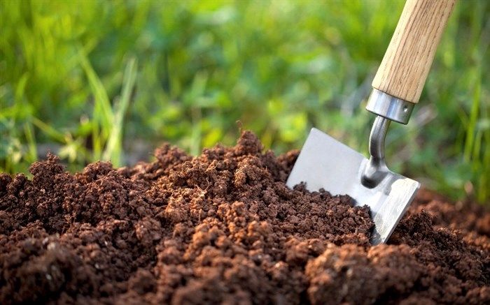 آیین نامه اجرایی قانون حفاظت از خاک تحویل دولت شد