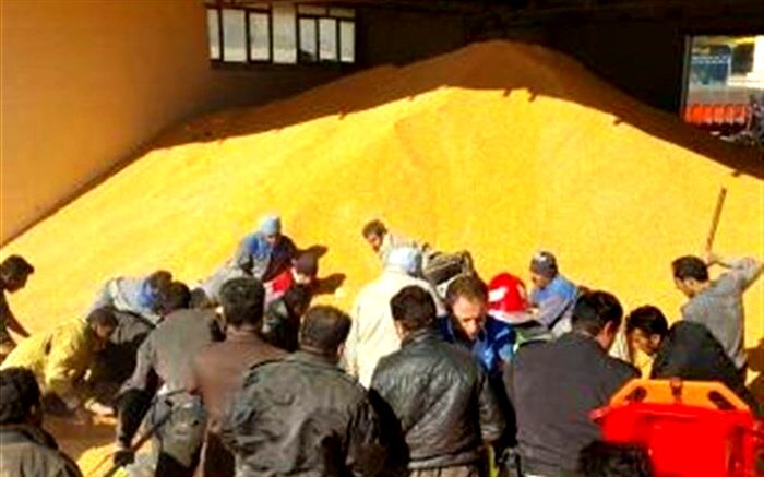 لیست فروشندگان بدسابقه خارجی تدوین و منتشر می شود
