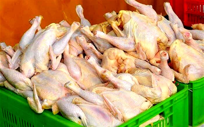 هشدار به فروشگاه‌های زنجیره‌ای درباره گران فروشی مرغ