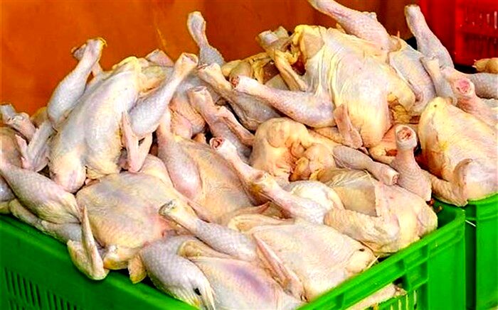 عرضه گوشت مرغ به قیمت 20 هزار و 400 تومان در استان زنجان