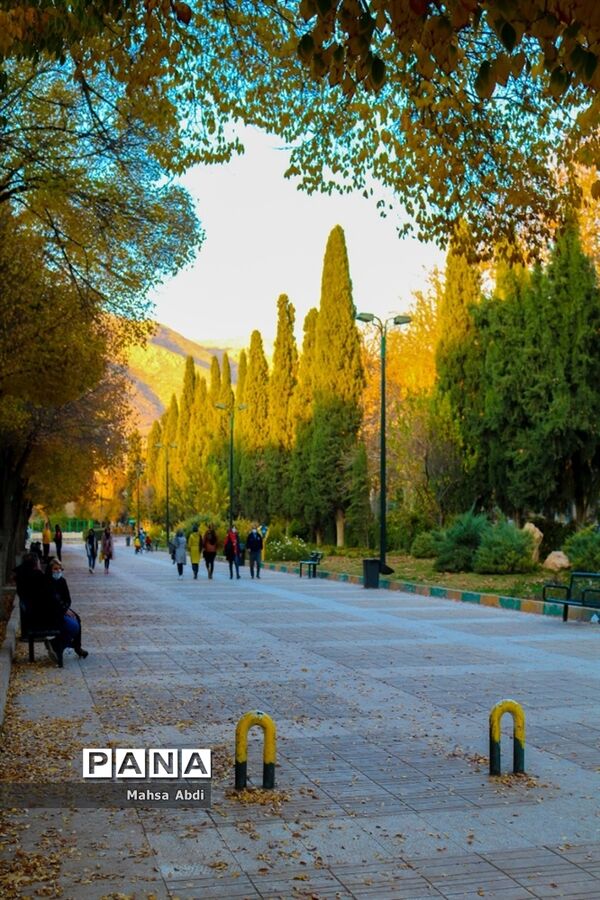 گذر پاییز در پارک شهر شیراز