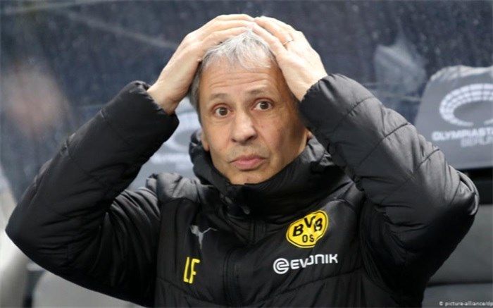 زنبورها حکم اخراج مرد سوئیسی را صادر کردند