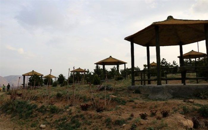 احداث کمپ گردشگری در منطقه آرپا دره‌سی تبریز