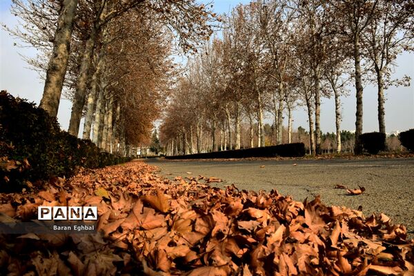 پاییز رنگارنگ تهران