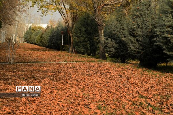 پاییز رنگارنگ تهران