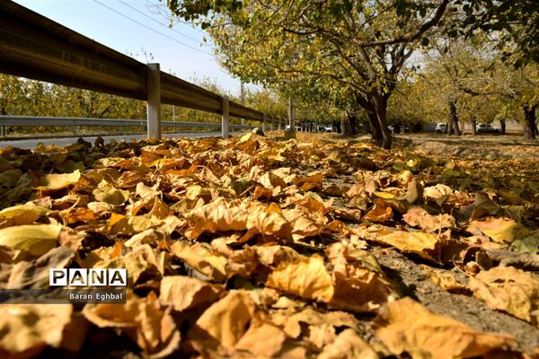 پاییز رنگارنگ تهران