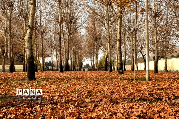 پاییز رنگارنگ تهران