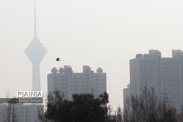 شهری  که در آن نفس می‌کشیم!