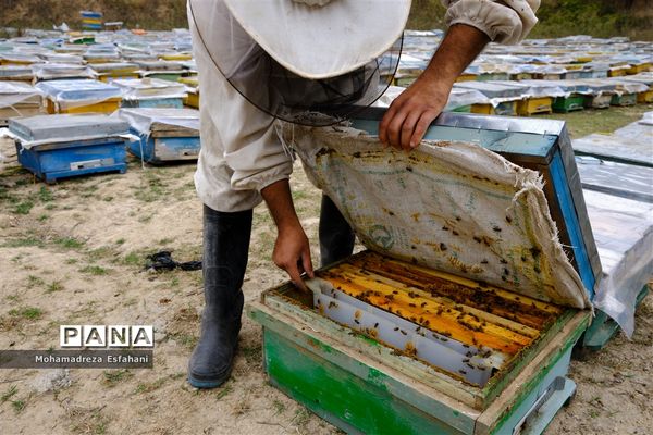 گشت‌وگذاری در روستای داراب‌کلا