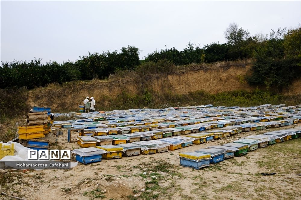 گشت‌وگذاری در روستای داراب‌کلا