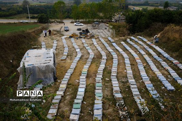 گشت‌وگذاری در روستای داراب‌کلا