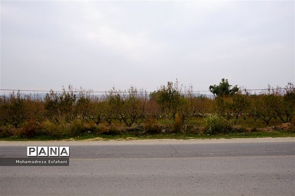 گشت‌وگذاری در روستای داراب‌کلا