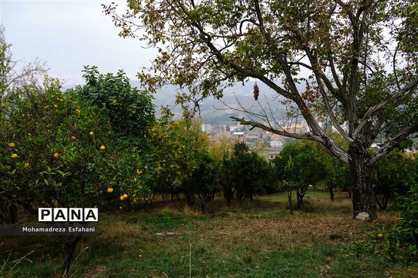 گشت‌وگذاری در روستای داراب‌کلا