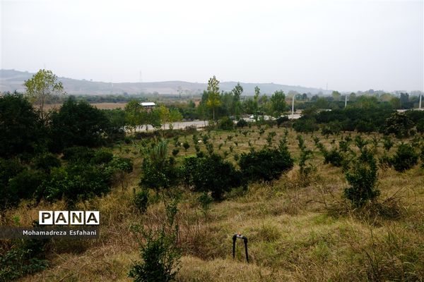 گشت‌وگذاری در روستای داراب‌کلا