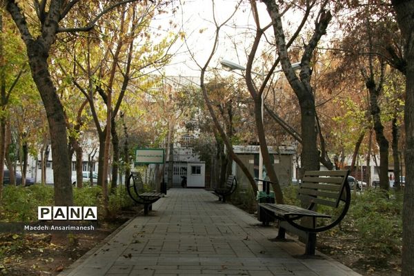 پاییز رنگارنگ تهران-۲