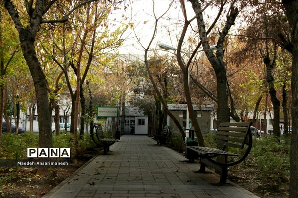 پاییز رنگارنگ تهران-۲
