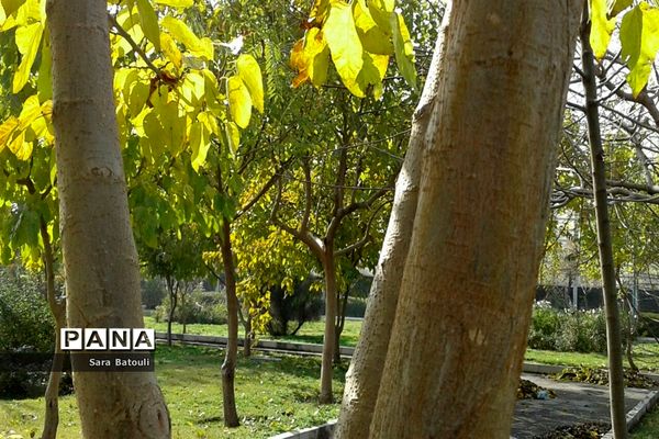 پاییز رنگارنگ تهران-۲