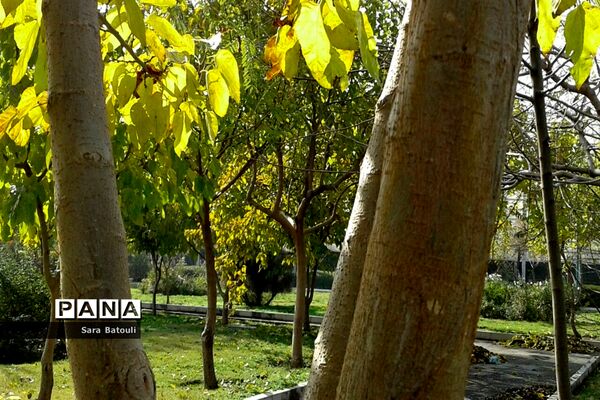 پاییز رنگارنگ تهران-۲