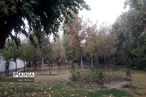 پاییز رنگارنگ تهران-۲
