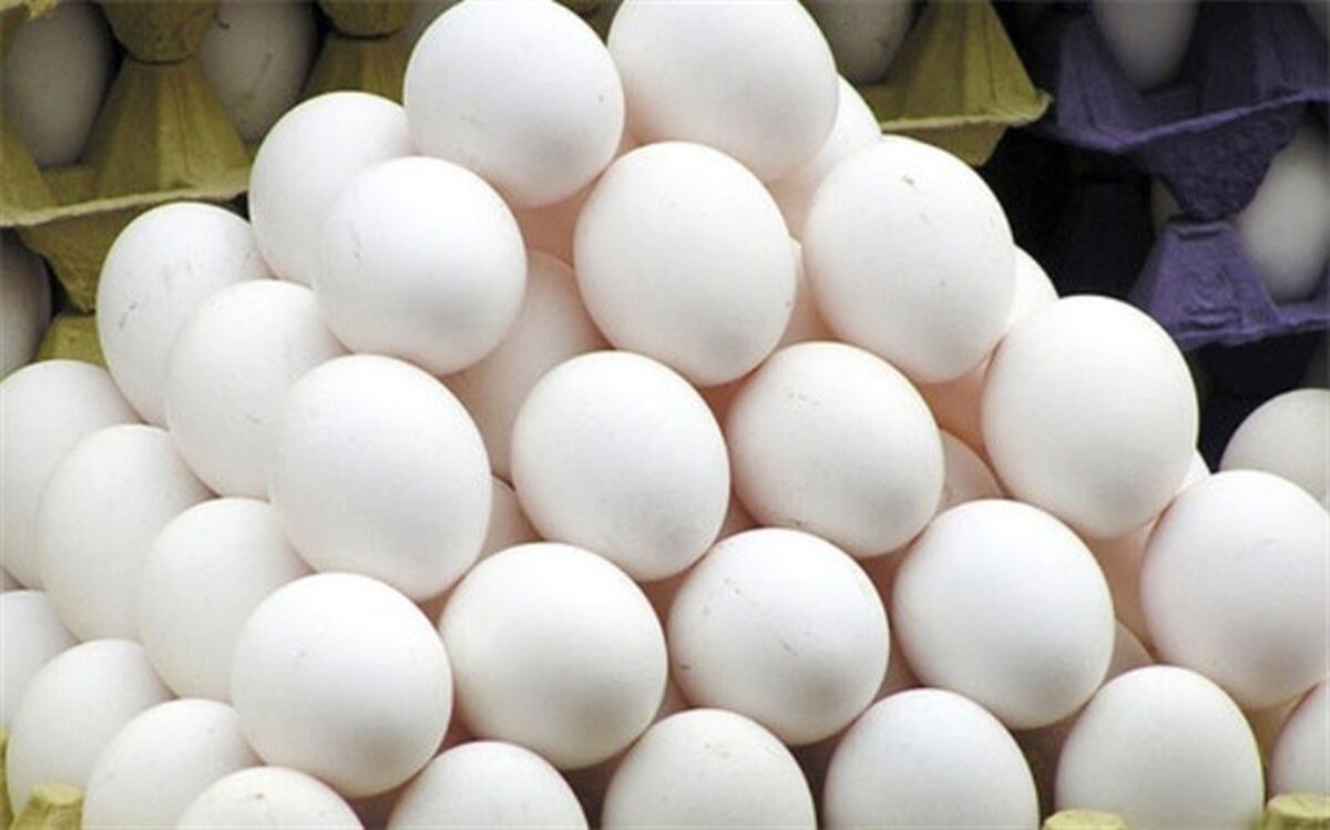 جریمه ۹۹ میلیون تومانی متخلفان صنف مرغ و تخم مرغ