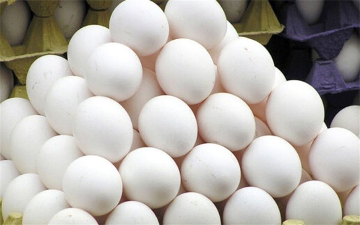 جریمه ۹۹ میلیون تومانی متخلفان صنف مرغ و تخم مرغ