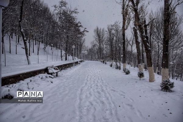 تبریز سفید پوش شد