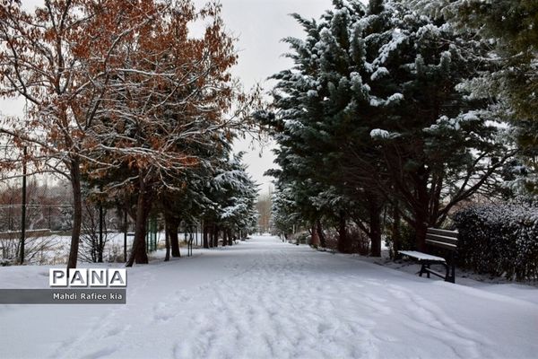 تبریز سفید پوش شد