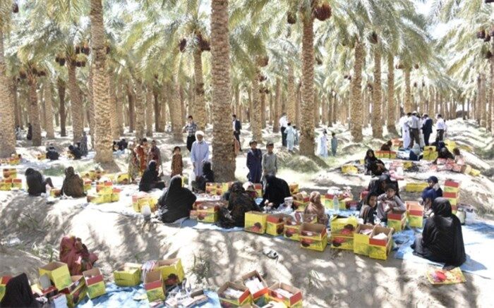 ٨٠ درصد خرمای میرجاوه به خارج از کشور صادر شد 