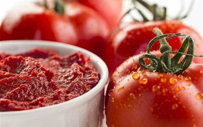 صادرات رب گوجه‌فرنگی تا پایان دی ماه تمدید شد