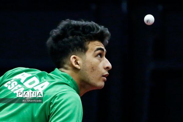 لیگ برتر تنیس روی میز