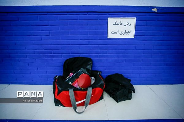 لیگ برتر تنیس روی میز